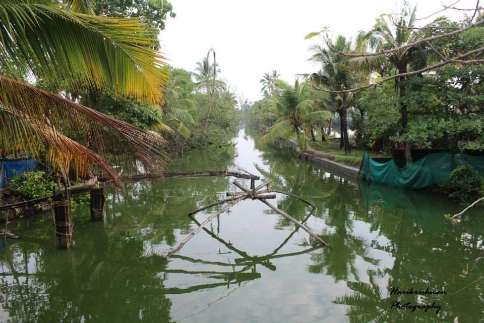 Marari stella vich villa Homestay Turavūr Esterno foto
