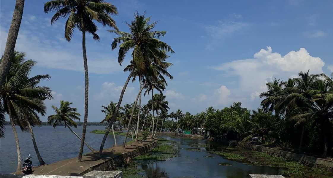 Marari stella vich villa Homestay Turavūr Esterno foto