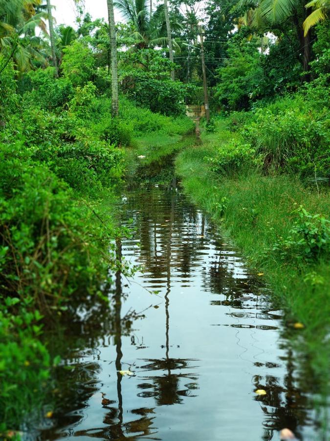 Marari stella vich villa Homestay Turavūr Esterno foto